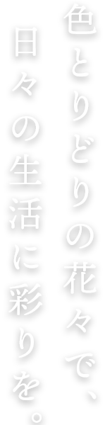 色とりどりの花々で 日々の生活に彩りを